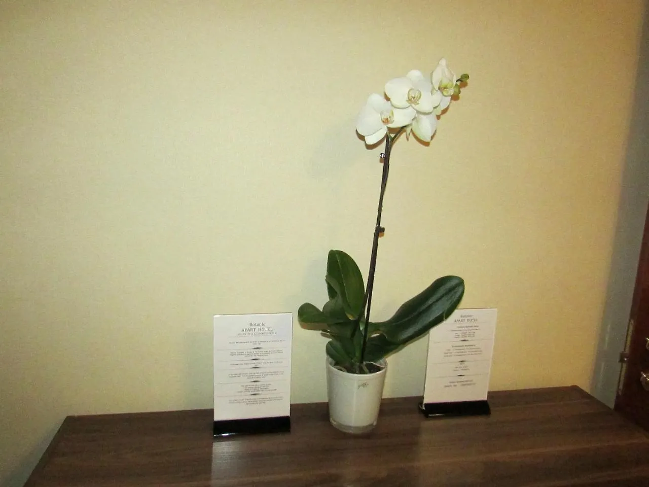 Botanic Apart Hotel Kiev